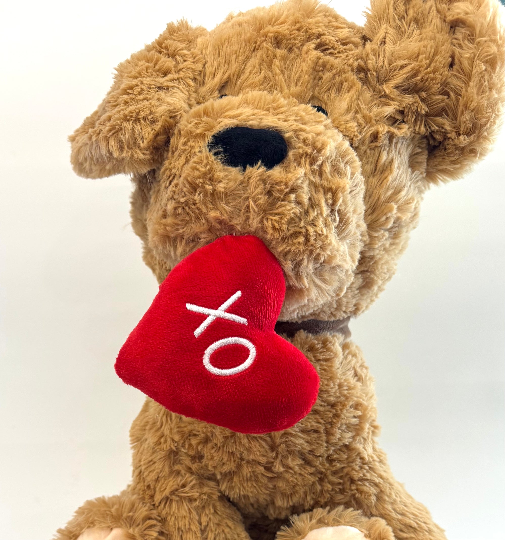 Cagnolino peluche con cremini fondenti